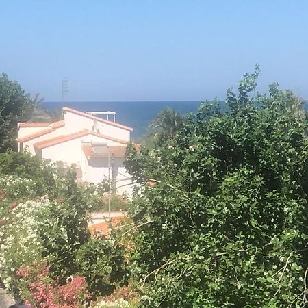 Primera Linea De Playa A 1Km Del Puerto De Dénia Esterno foto
