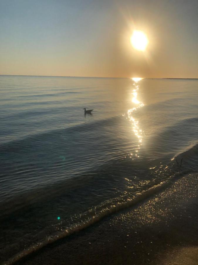 Primera Linea De Playa A 1Km Del Puerto De Dénia Esterno foto